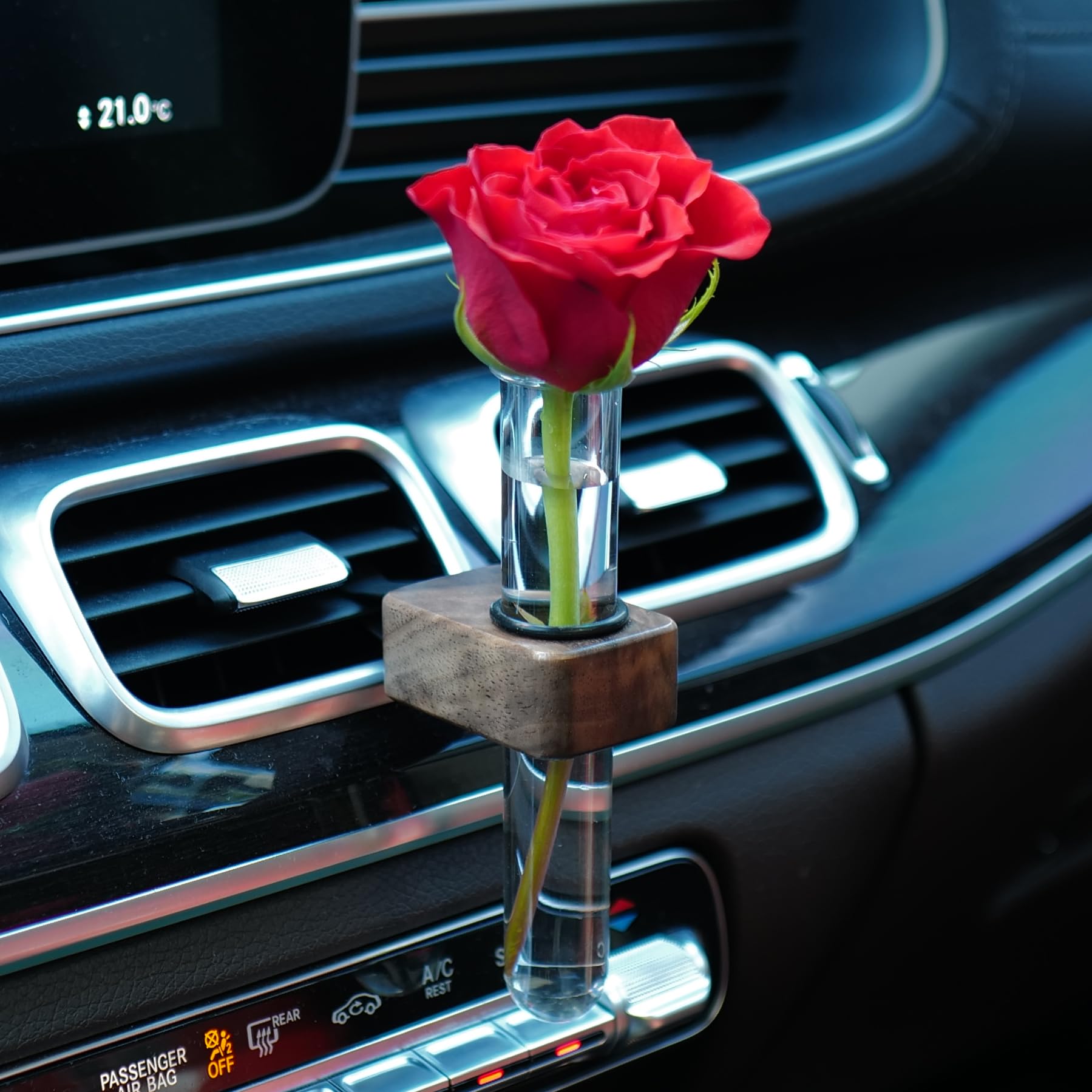Amazon.com: LVBRT Car Vent Clip Bud Vase, Mini Plant Propagation